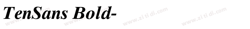 TenSans Bold字体转换